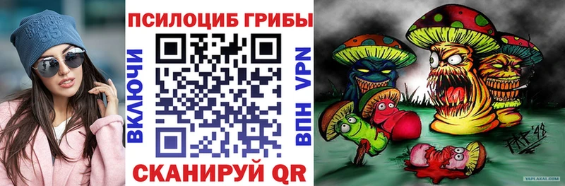 Галлюциногенные грибы мицелий  Котовск 
